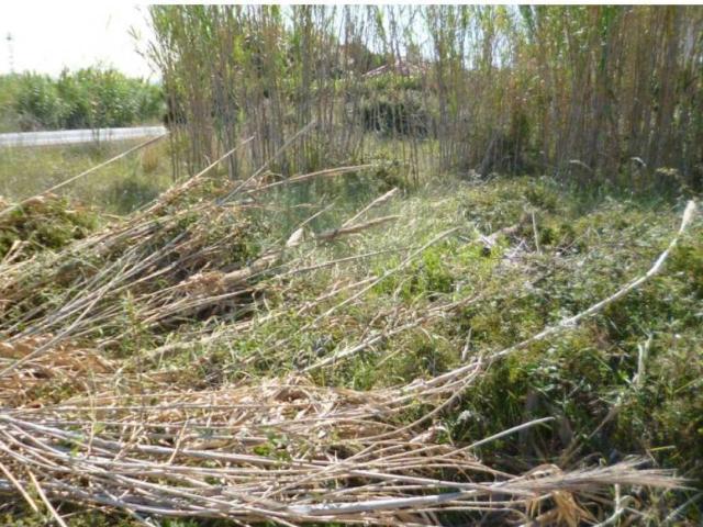 Terreno en venta en la Marina Alta, Valencia