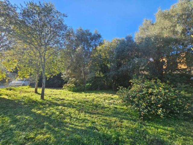 Terreno en venta en la Marina Alta, Valencia