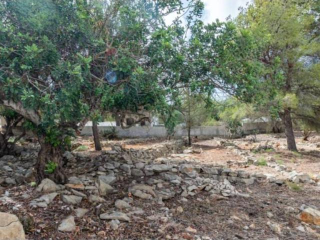 Terreno en venta en Dénia, Alacant / Alicante