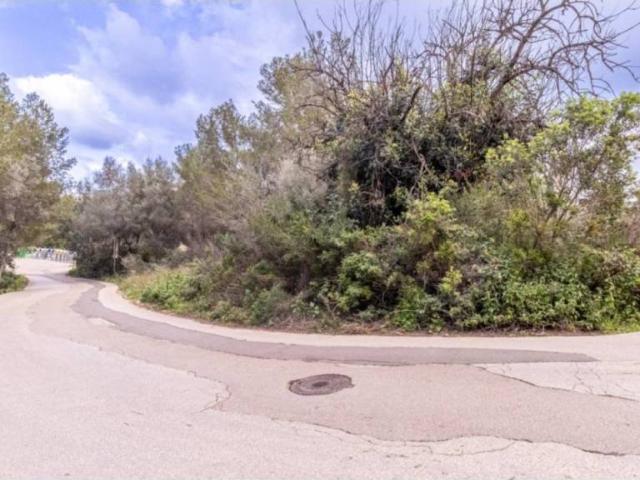 Terreno en venta en la Marina Alta, Valencia