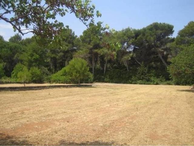 Terreno en venta en la Marina Alta, Valencia