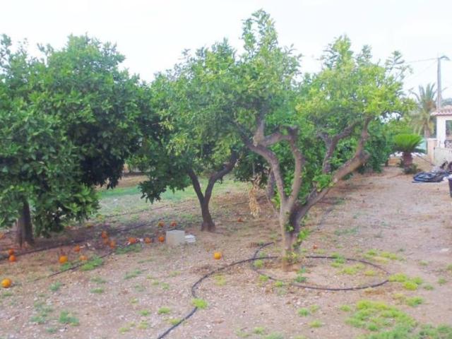 Terreno en venta en la Marina Alta, Valencia