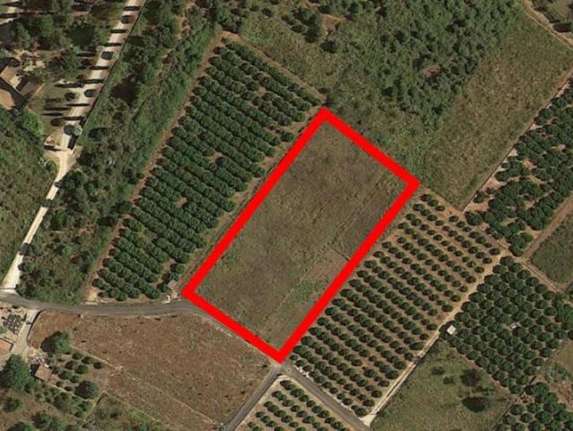 Terreno en venta en Dénia, ZARZAS II