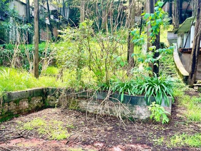 Terreno en renta en Alvaro Obregón, Ciudad de México