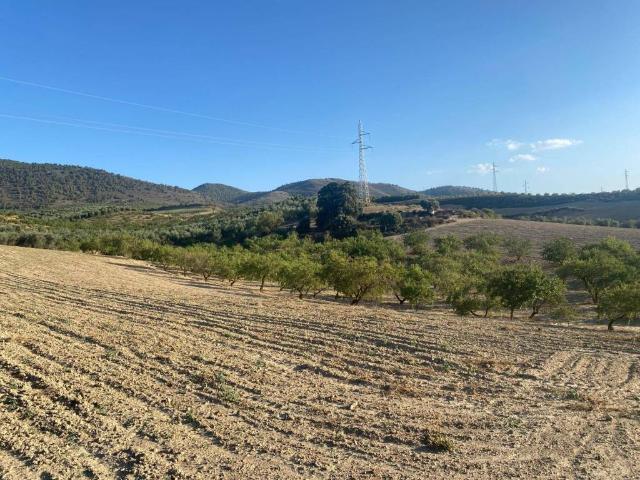 Terreno en venta en Comarca de la Vega de Granada, Andalucía