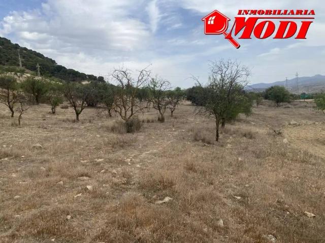 Terreno en venta en Comarca de la Vega de Granada, Andalucía