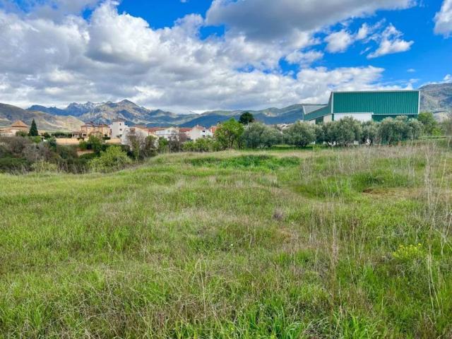 Terreno en venta en Comarca de la Vega de Granada, Andalucía