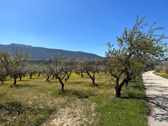 Terreno en venta en Comarca de la Vega de Granada, Andalucía