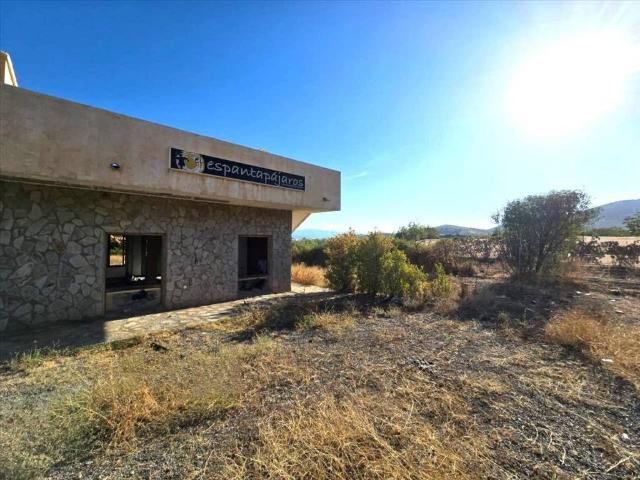 Terreno en venta en Comarca de Guadix, Andalucía