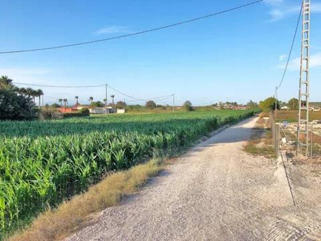 Terreno en venta en el Baix Segura / La Vega Baja, Valencia