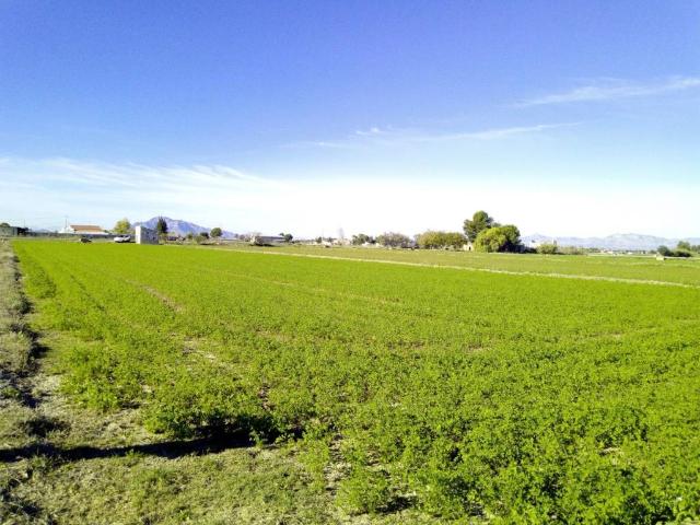 Terreno en venta en Dolores