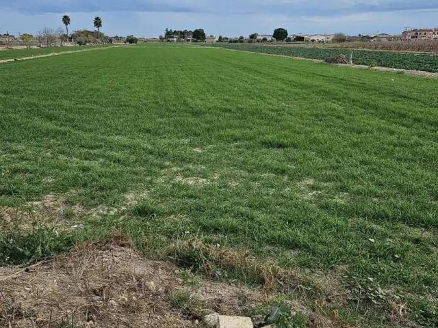 Terreno en venta en Dolores, Alacant / Alicante