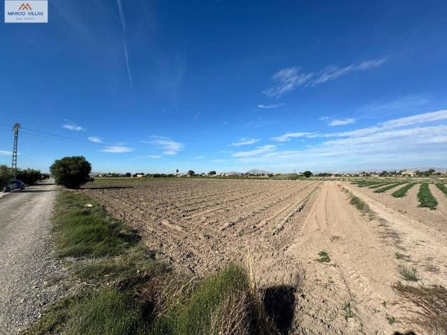 Terreno en venta en el Baix Segura / La Vega Baja, Valencia
