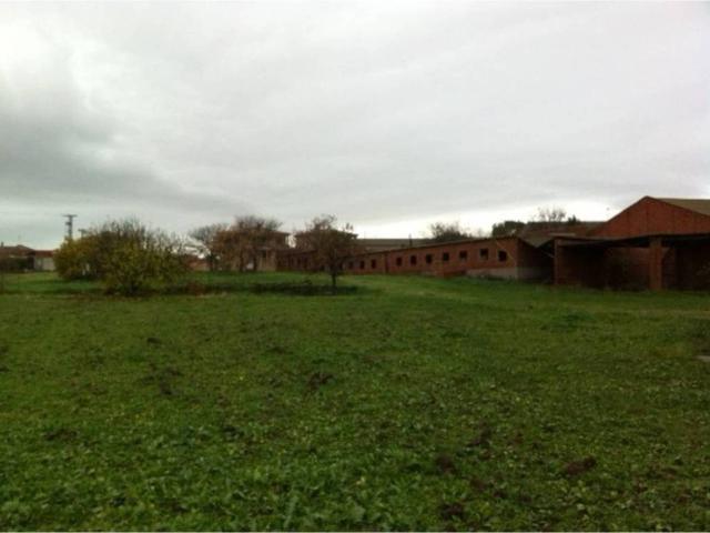 Terreno en venta en Domingo Pérez, Castilla-La Mancha