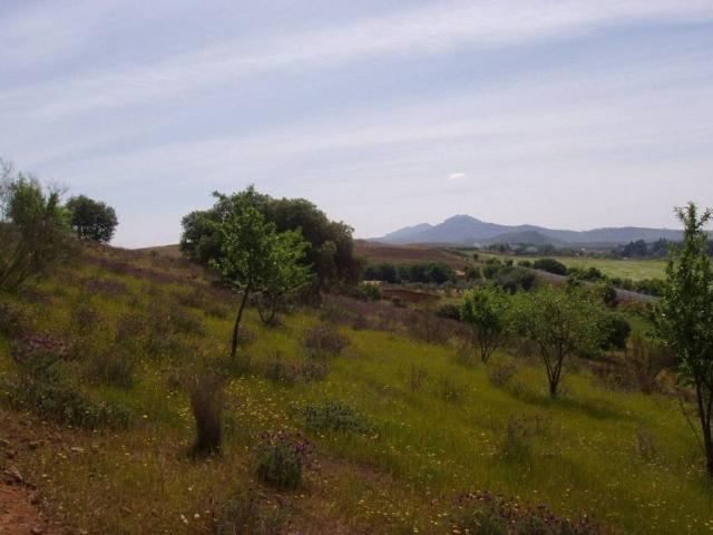 Terreno en venta en Don Álvaro, Badajoz