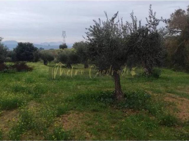Terreno en venta en Don Álvaro, Extremadura