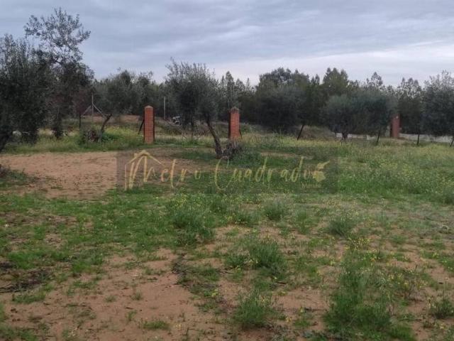 Terreno en venta en Don Álvaro