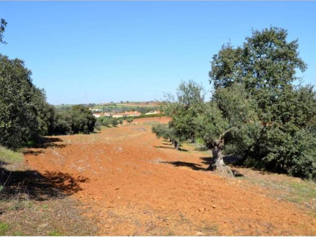 Terreno en venta en Don Álvaro