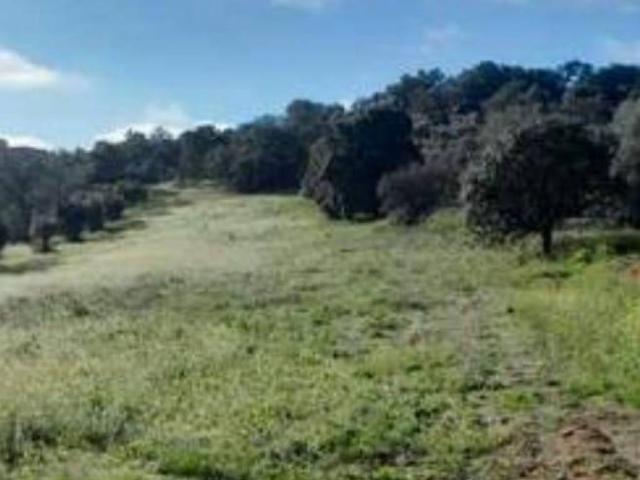 Terreno en venta en Don Álvaro