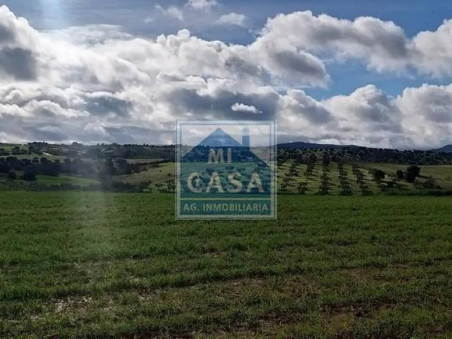 Terreno en venta en Don Álvaro, Extremadura