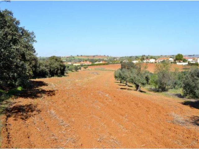 Terreno en venta en Don Álvaro, Extremadura
