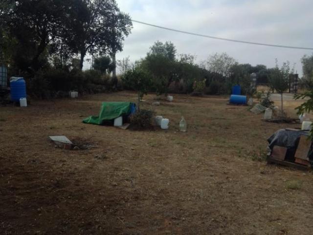 Terreno en venta en Don Álvaro