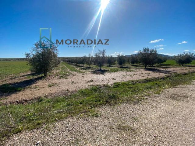 Terreno en venta en Don Benito, Badajoz