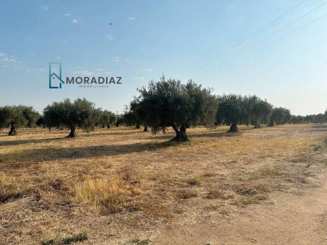 Terreno en venta en Don Benito, Extremadura