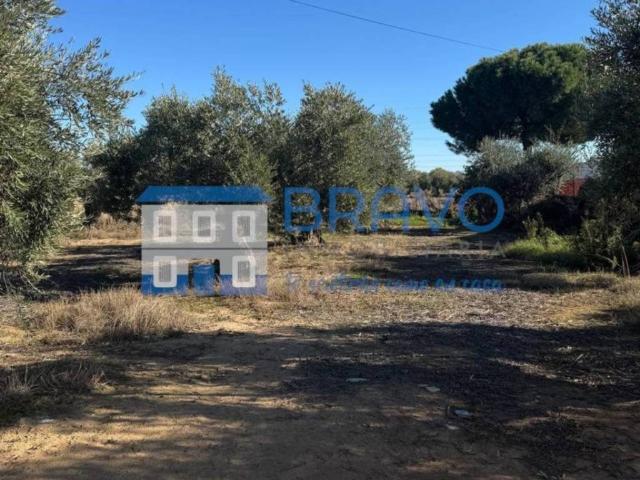 Terreno en venta en Don Benito, Extremadura