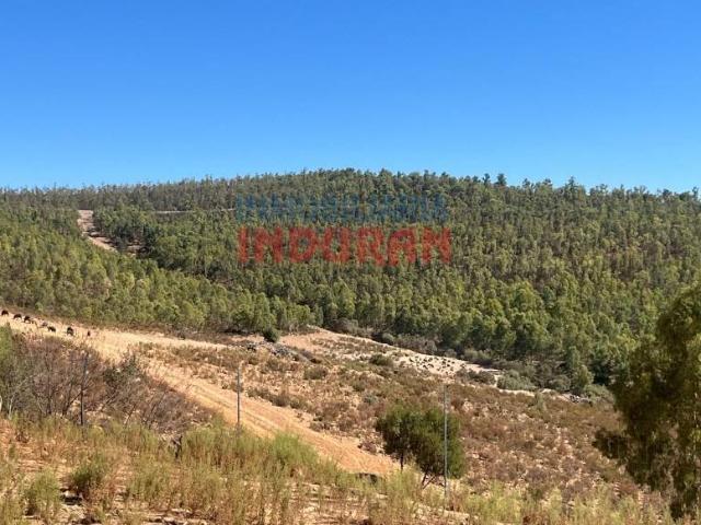 Terreno en venta en Don Benito, Extremadura