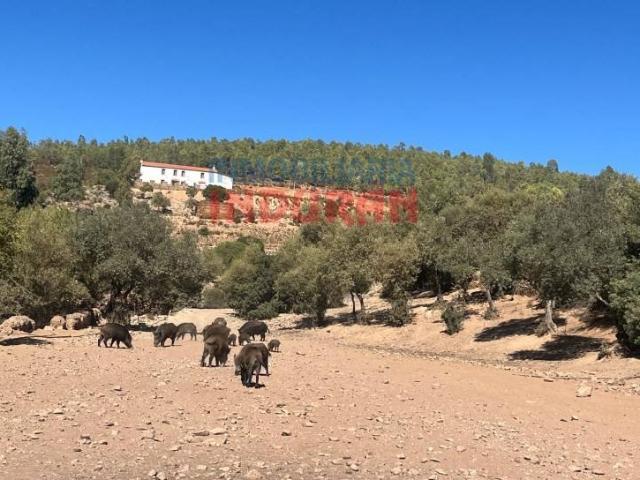 Terreno en venta en Don Benito, Extremadura