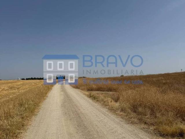Terreno en venta en Don Benito, Extremadura