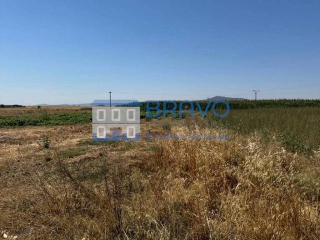 Terreno en venta en Don Benito, Extremadura