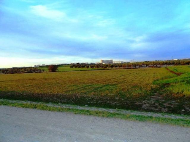 Terreno en venta en Don Benito, Extremadura
