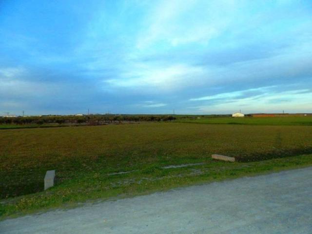 Terreno en venta en Don Benito, Extremadura