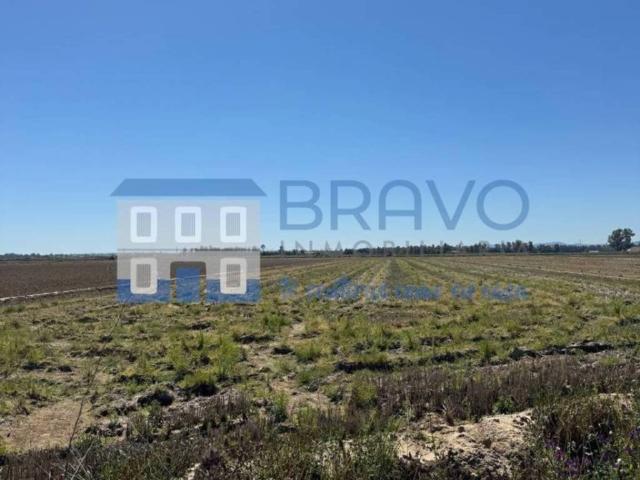 Terreno en venta en Don Benito, Extremadura