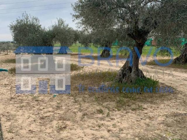 Terreno en venta en Don Benito, Extremadura