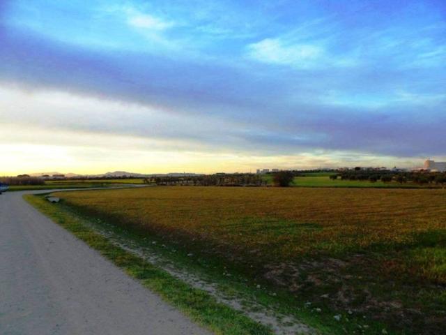 Terreno en venta en Don Benito, Extremadura