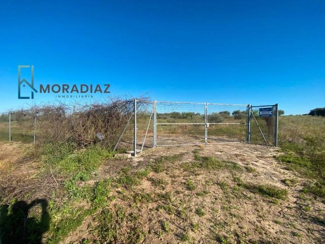 Terreno en venta en Don Benito, Urbanización La Zarza Terreno en venta en Don Benito, Urbanización La Zarza