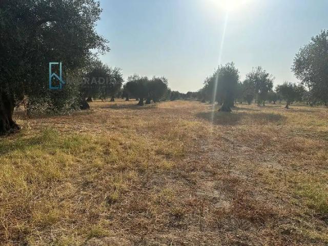 Terreno en venta en Don Benito, Badajoz