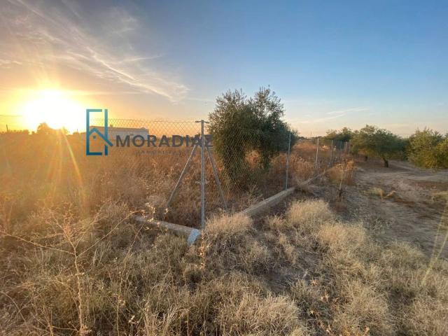 Terreno en venta en Don Benito, Extremadura