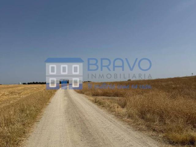 Terreno en venta en Don Benito