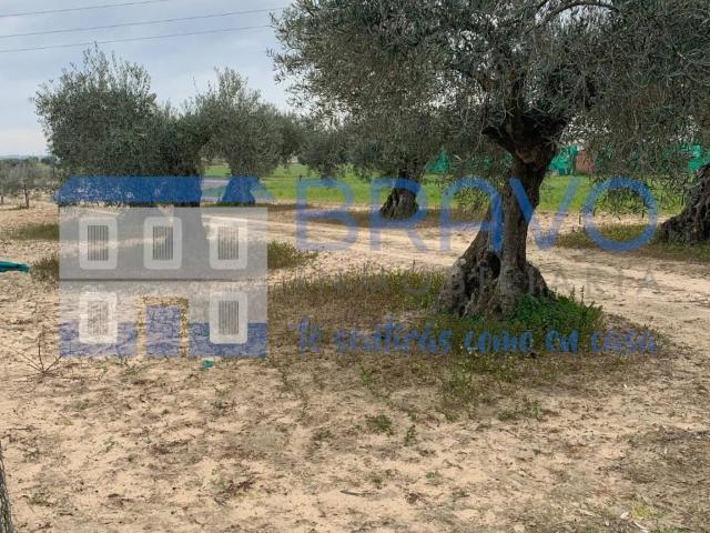 Terreno en venta en Don Benito