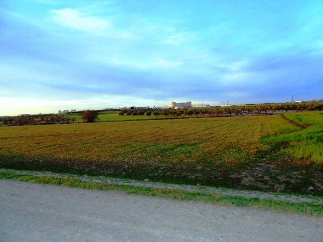 Terreno en venta en Don Benito