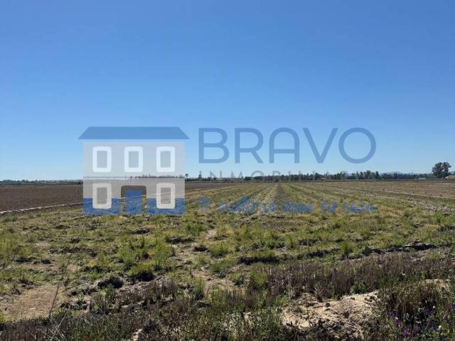 Terreno en venta en Don Benito Terreno en venta en Don Benito