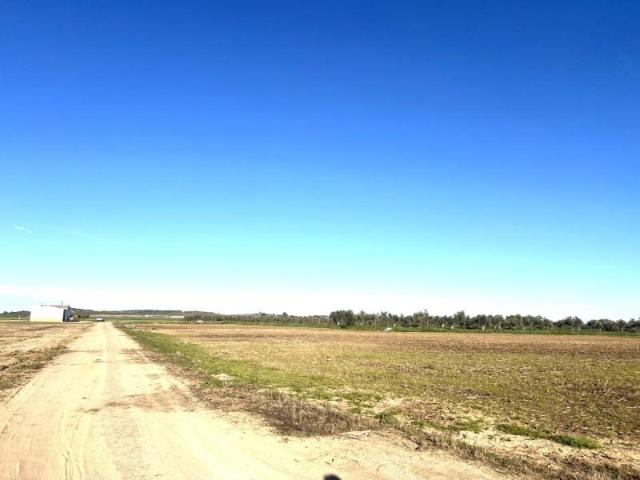 Terreno en venta en Don Benito, Extremadura