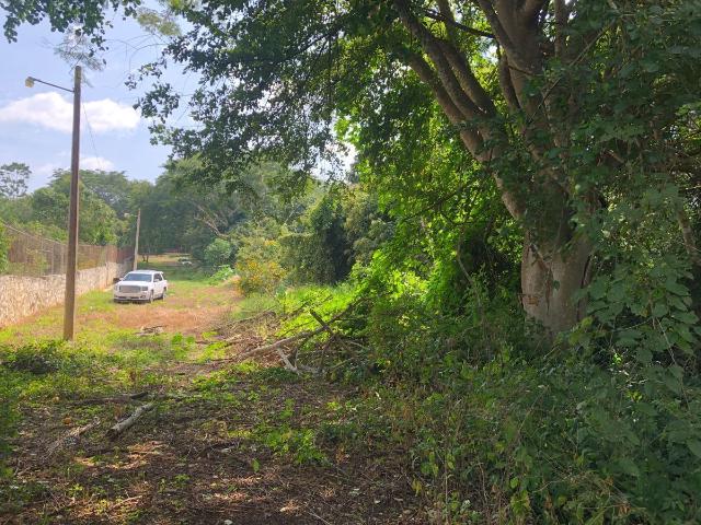 Terreno en venta en San Fernando, Chiapas