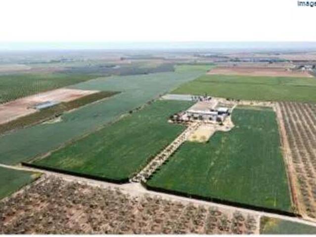 Terreno en venta en Los Montecillos, Dos Hermanas