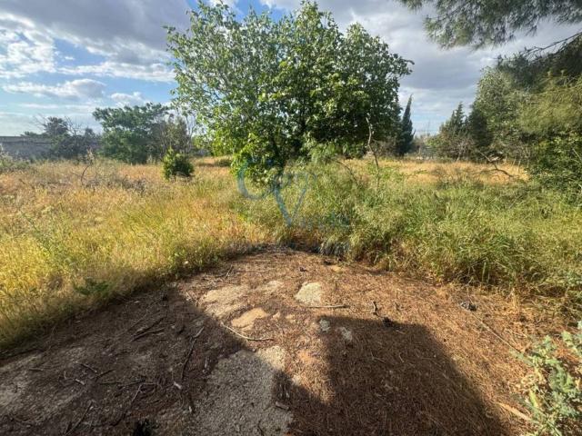 Terreno en venta en Dos Hermanas, Andalucía
