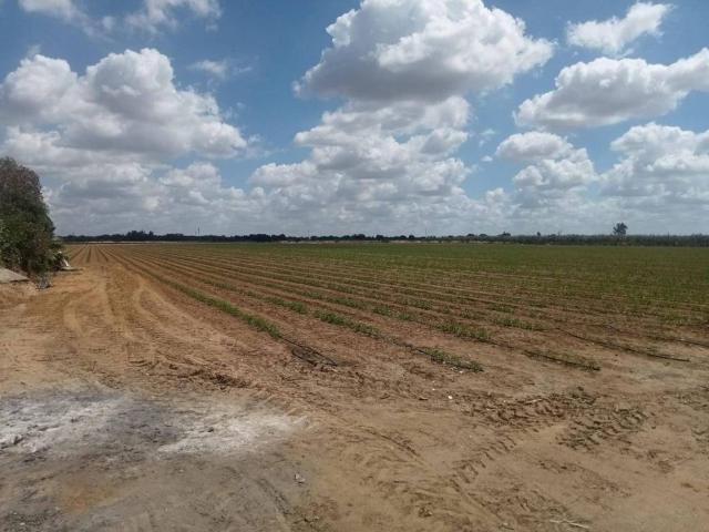 Terreno en venta en Dos Hermanas, Andalucía